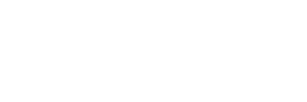 State_Auto_logo white